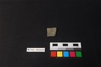 藏品(陶片)的圖片