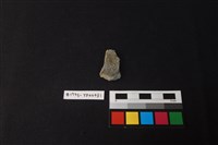 藏品(陶片)的圖片