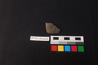 藏品(陶片)的圖片