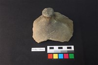 藏品(陶片)的圖片