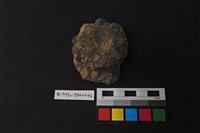 藏品(陶蓋把)的圖片