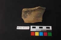 藏品(陶片)的圖片