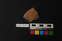 藏品(陶片)的圖片