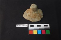 藏品(陶片)的圖片