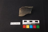 藏品(陶片)的圖片