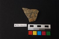 藏品(陶片)的圖片