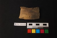 藏品(陶片)的圖片