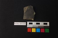 藏品(陶片)的圖片