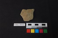 藏品(陶片)的圖片