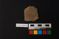 藏品(陶片)的圖片