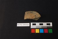 藏品(陶片)的圖片