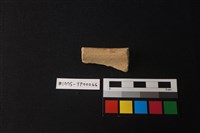 藏品(陶片)的圖片