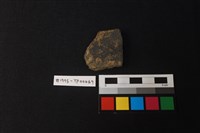 藏品(陶片)的圖片