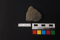 藏品(陶片)的圖片