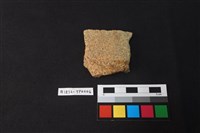 藏品(陶片)的圖片