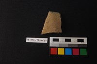 藏品(陶片)的圖片