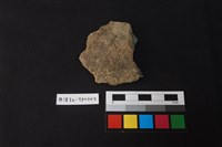 藏品(陶片)的圖片