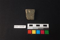 藏品(陶片)的圖片