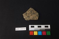 藏品(陶片)的圖片