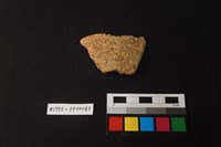 藏品(陶片)的圖片