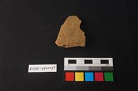 藏品(陶片)的圖片