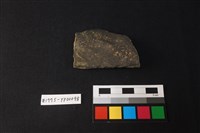 藏品(陶片)的圖片