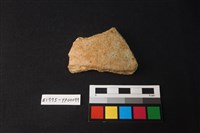 藏品(陶片)的圖片