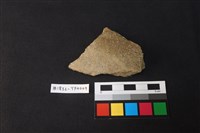 藏品(陶片)的圖片