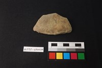 藏品(陶片)的圖片