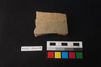 藏品(陶片)的圖片