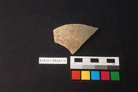 藏品(陶片)的圖片