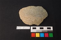 藏品(陶片)的圖片