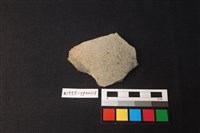 藏品(陶片)的圖片