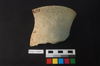 藏品(陶片)的圖片