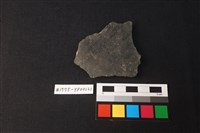 藏品(陶片)的圖片