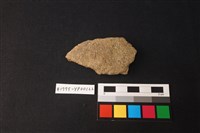 藏品(陶片)的圖片