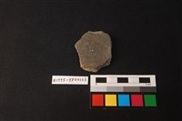 藏品(陶片)的圖片