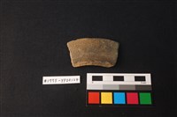 藏品(陶片)的圖片