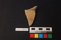 藏品(陶片)的圖片