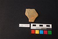 藏品(陶片)的圖片