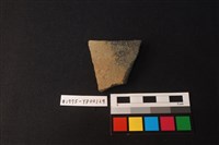 藏品(陶片)的圖片