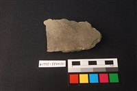 藏品(陶片)的圖片