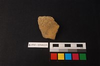 藏品(陶片)的圖片