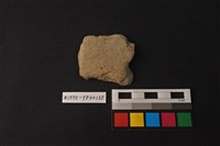 藏品(陶片)的圖片