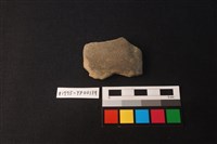 藏品(陶片)的圖片