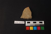 藏品(陶片)的圖片