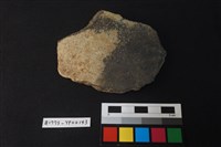 藏品(陶片)的圖片