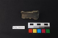 藏品(陶片)的圖片