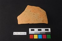 藏品(陶片)的圖片