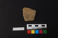 藏品(陶片)的圖片